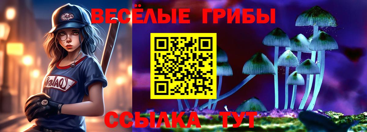 Камышин  Псилоцибиновые грибы Psilocybine cubensis  Вход с VPN 