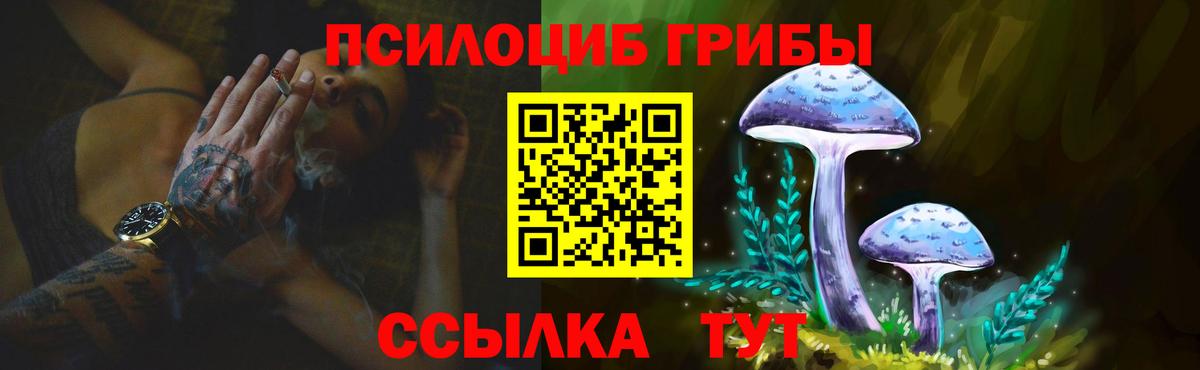 Псилоцибиновые грибы ЛСД Камышин